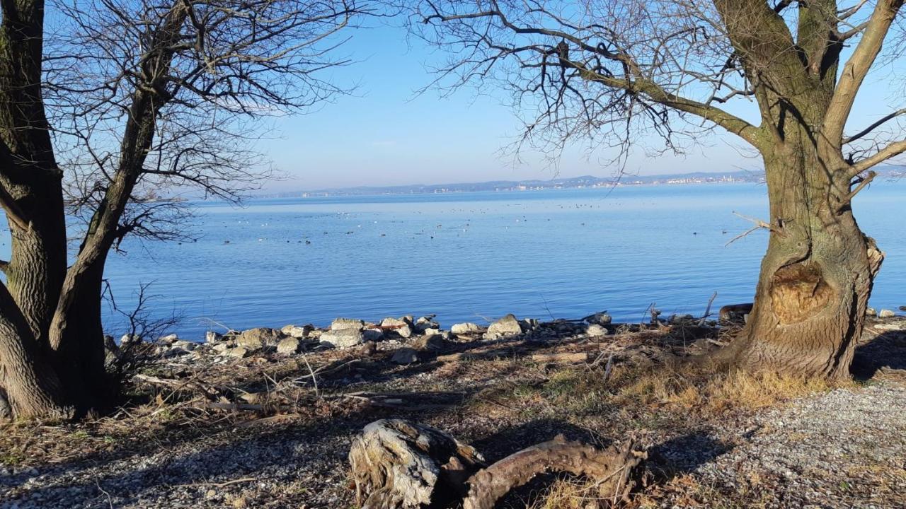 Hotel Am See Hard Dış mekan fotoğraf